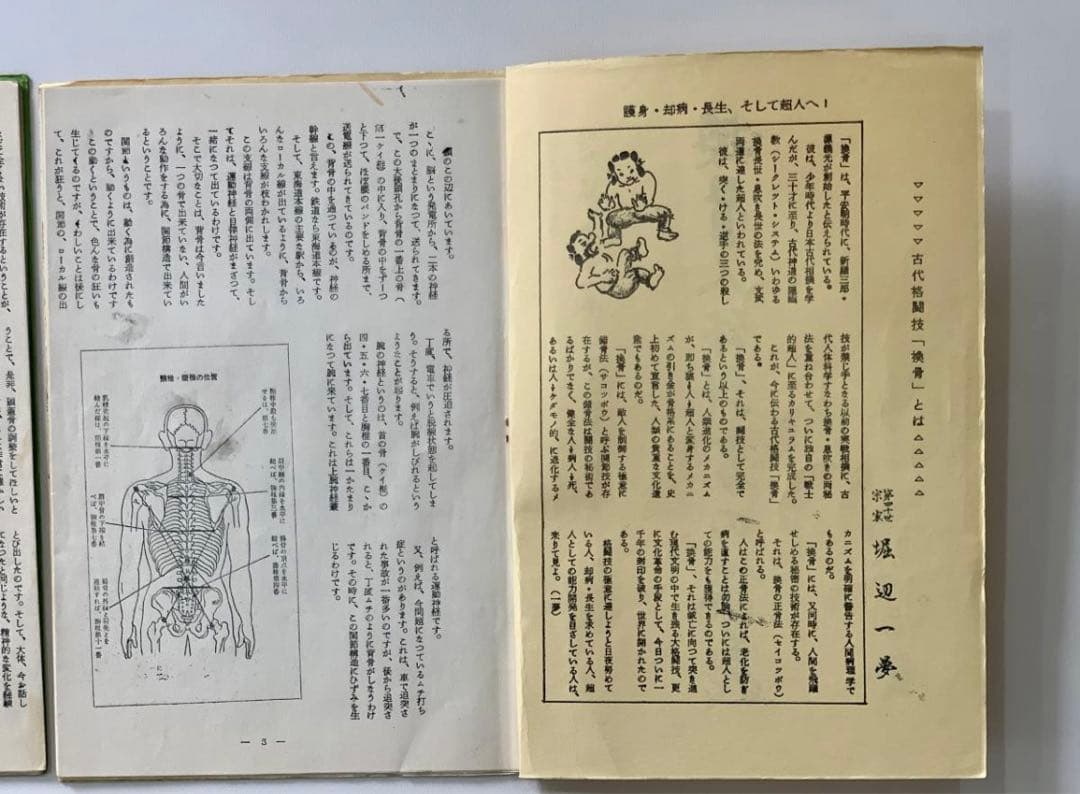 【超希少】堀辺 正史　換骨拳　骨法　セット　拳法　武術　合気道　秘術