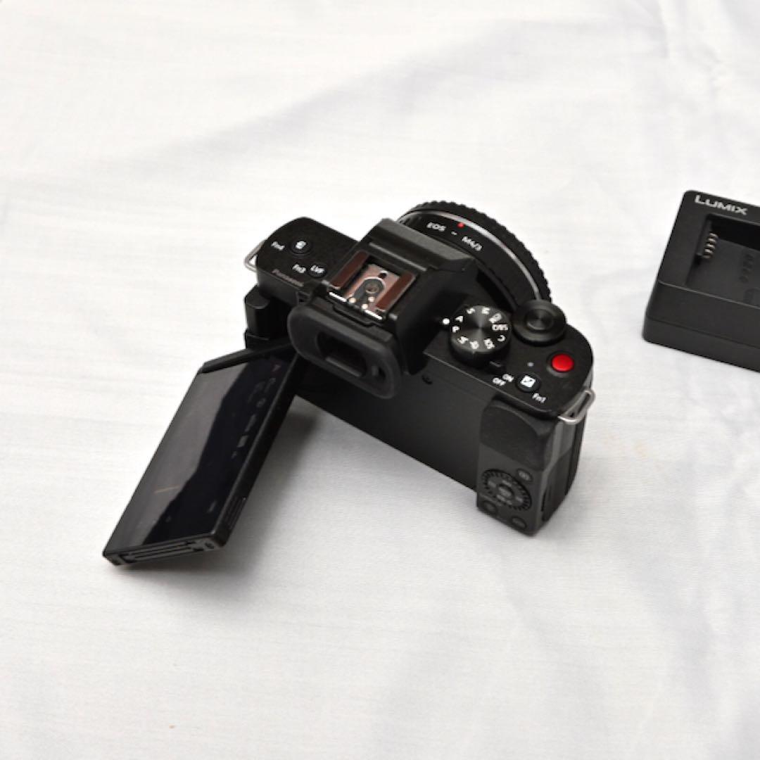 LUMIX G100D ミラーレス一眼 ボディ バッテリー3個付き