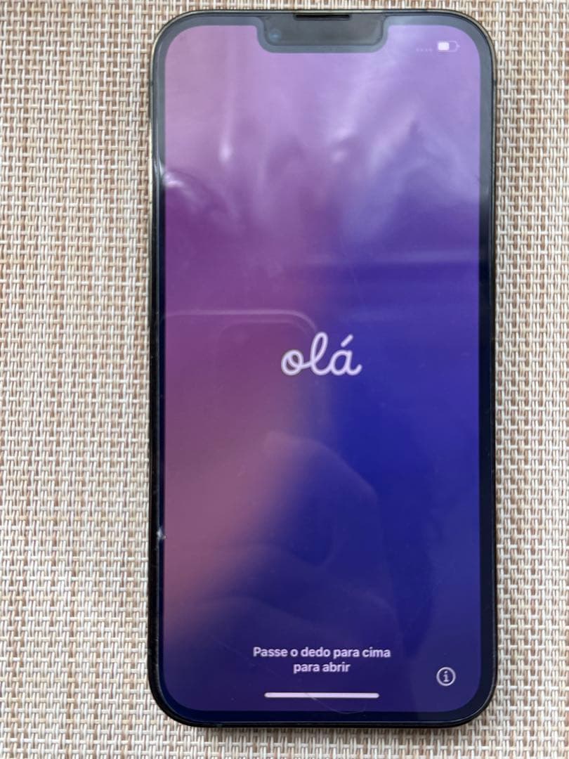 Apple iPhone 13 Pro アルパイングリーン 本体　ケース付き