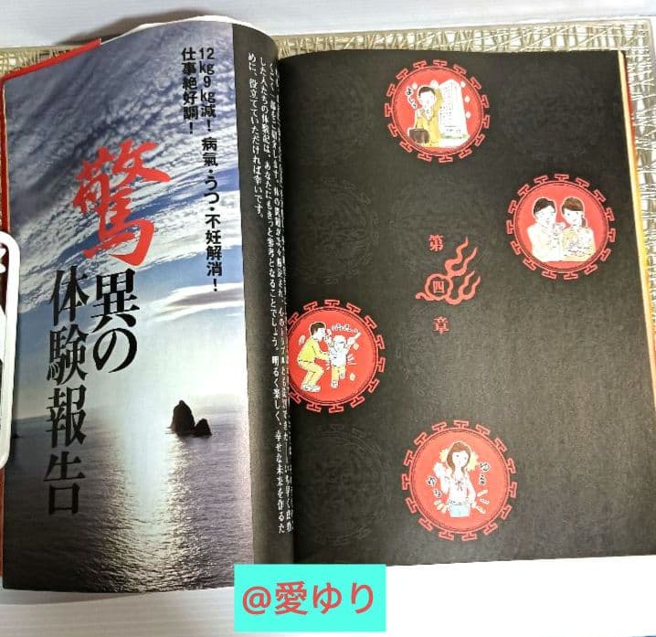 Dr.苫米地＆神の手氣功師『すごい氣が出るDVDブック完全版』苫米地英人⭐張永祥