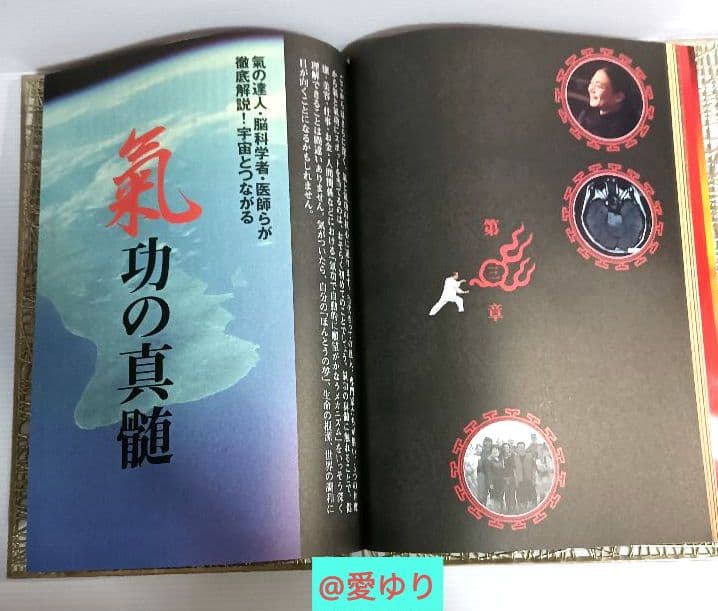 Dr.苫米地＆神の手氣功師『すごい氣が出るDVDブック完全版』苫米地英人⭐張永祥