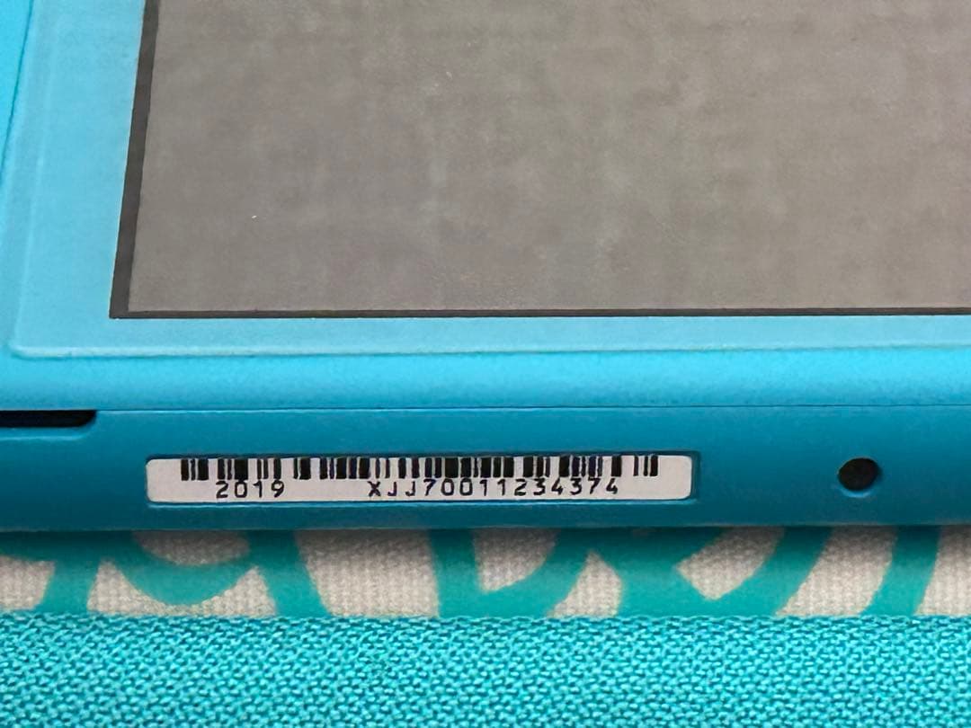 Nintendo Switch Lite ターコイズ 本体 充電器 あつ森ケース