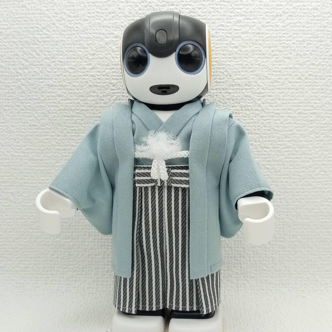 はむいちな 様 ロボホン 服 淡青藤色&山葵色 きもの 仙台平袴風 羽織 セット