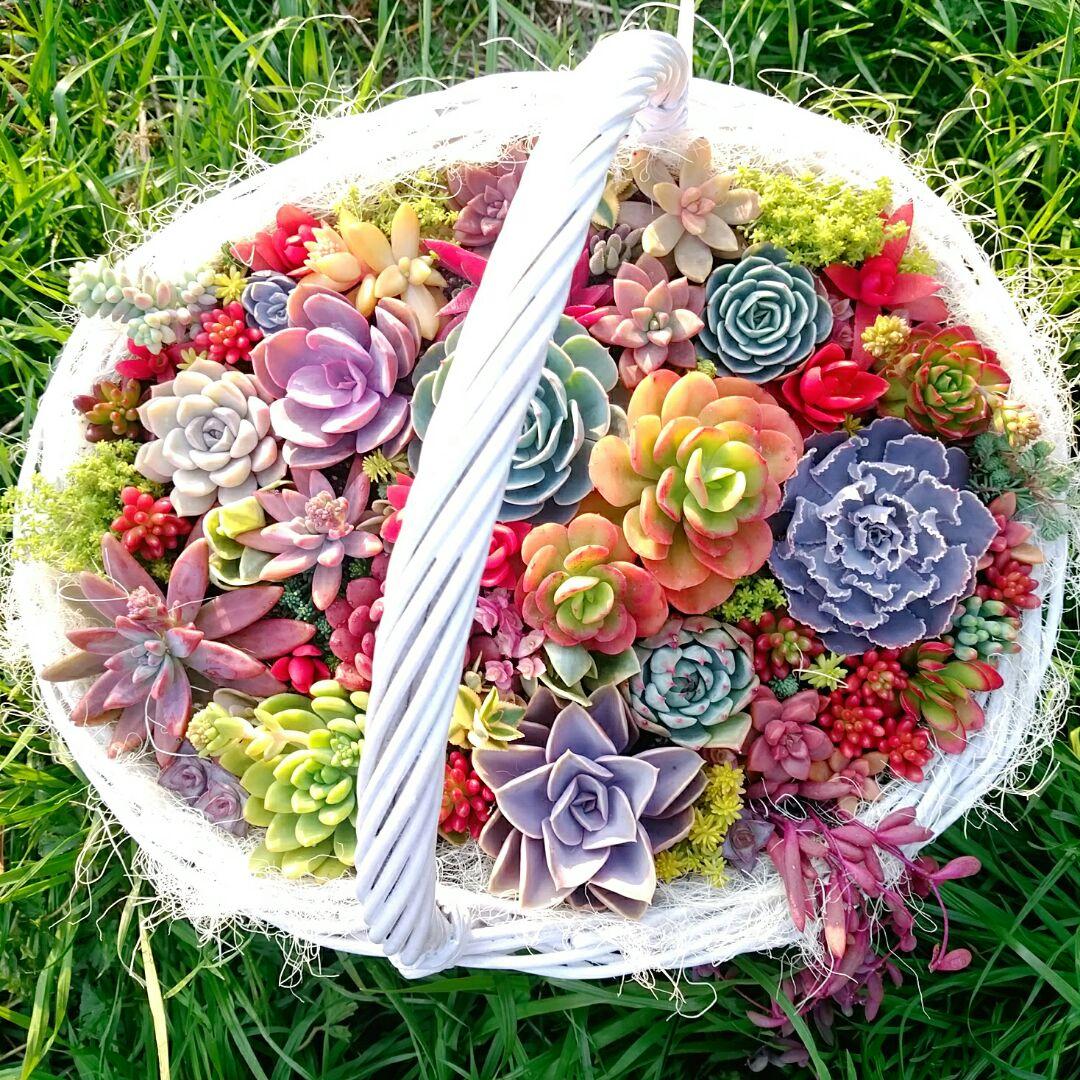 ご確認用ページ