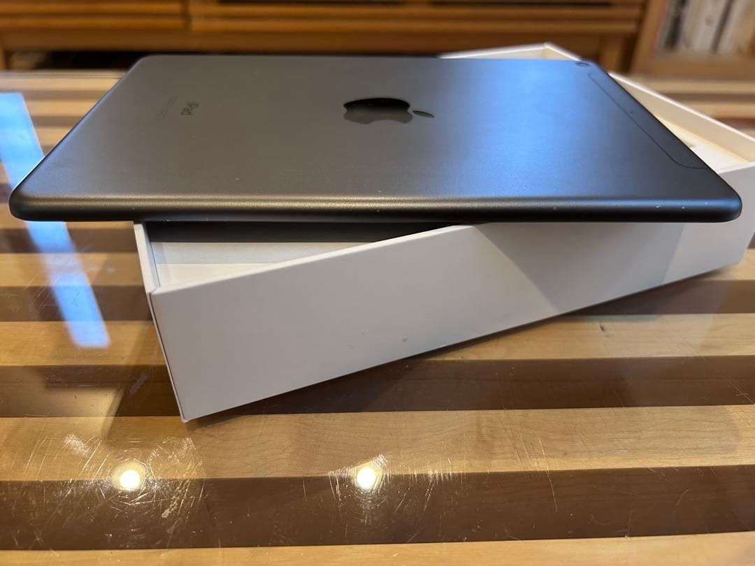 iPad本体 iPad mini 5 64GB Wifi+Cellular
