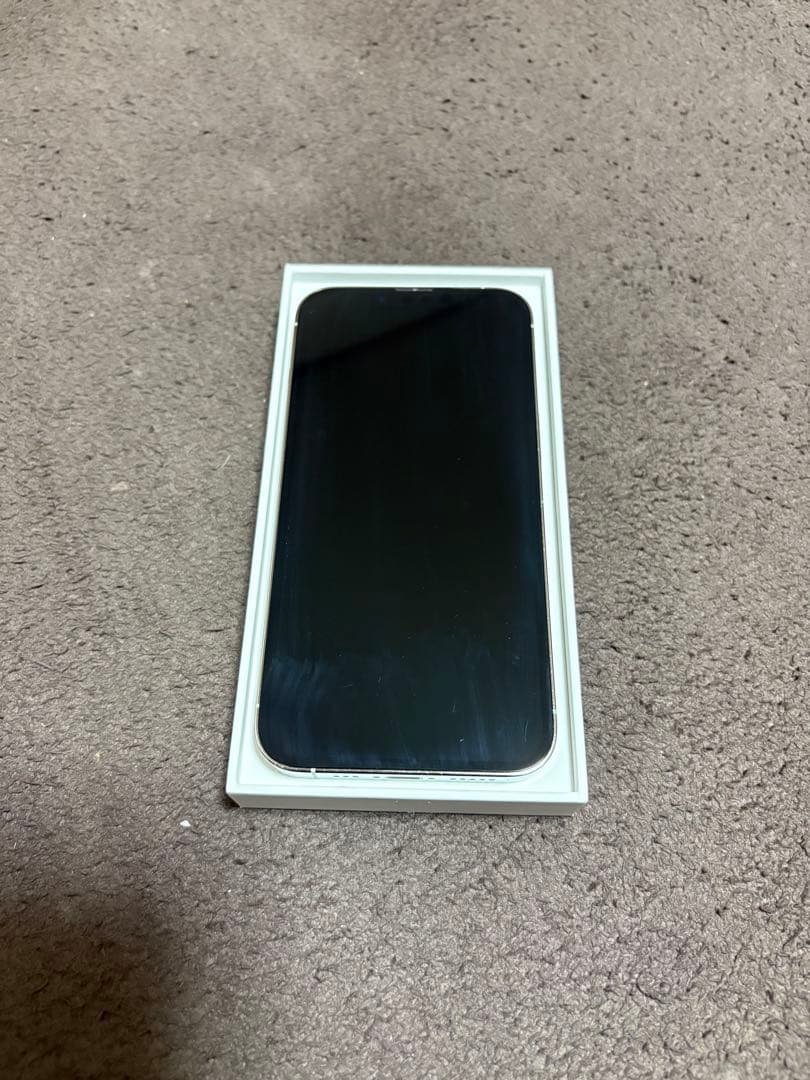 本日限定Apple iPhone 13 Pro シルバー 本体　128gb