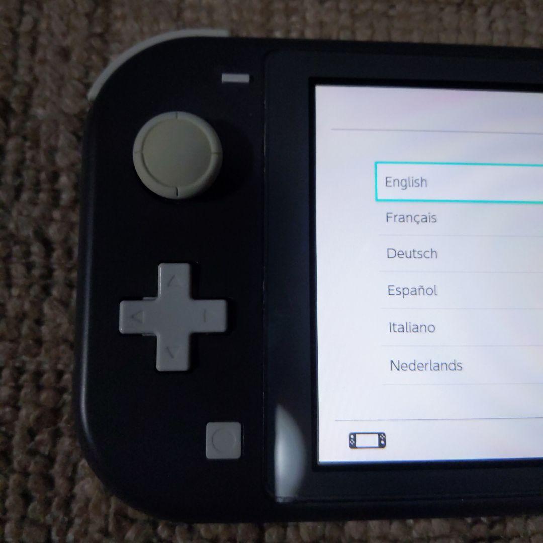 Switch Lite グレー 本体ジャンク品本体のみ