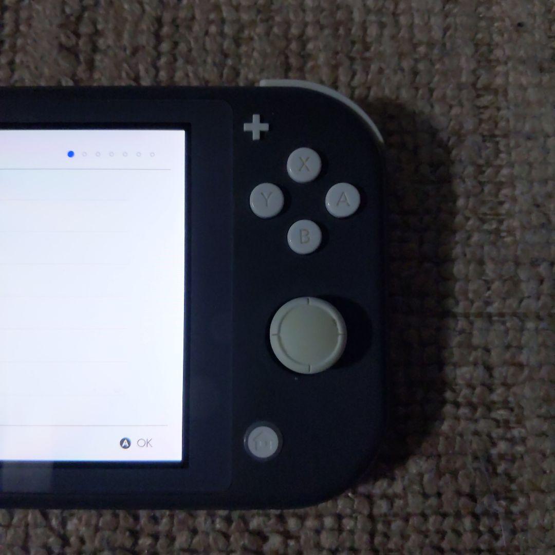 Switch Lite グレー 本体ジャンク品本体のみ
