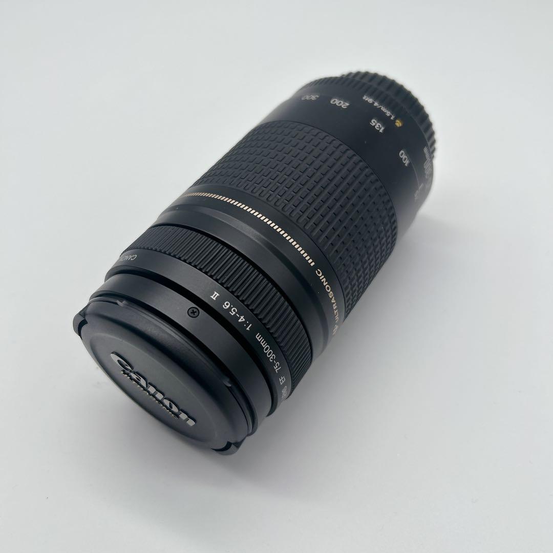 【美品】CANON 望遠レンズEF 75-300mm 1:4-5.6 Ⅱ