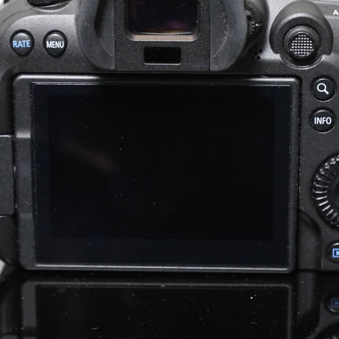 【ショット数5600回未満】Canon R6 美品｜子供撮影のみ