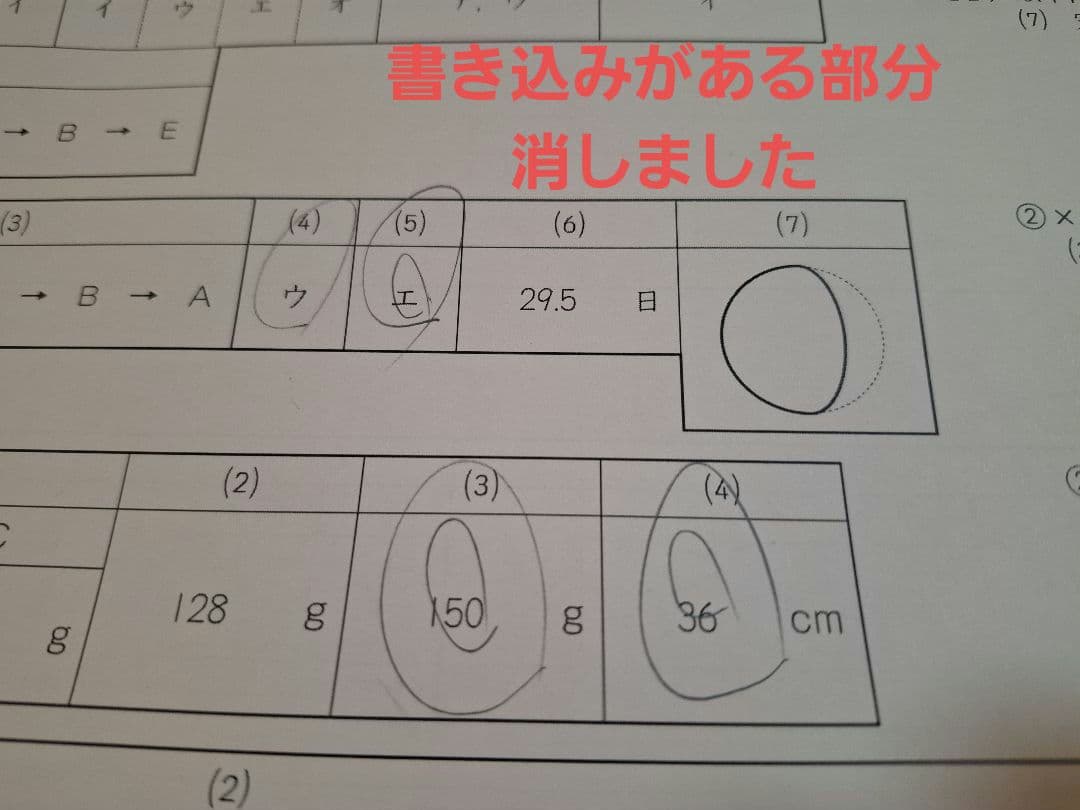 成基学園　2021年度　小５オープンテスト　講習会最終日テスト　総まとめテスト