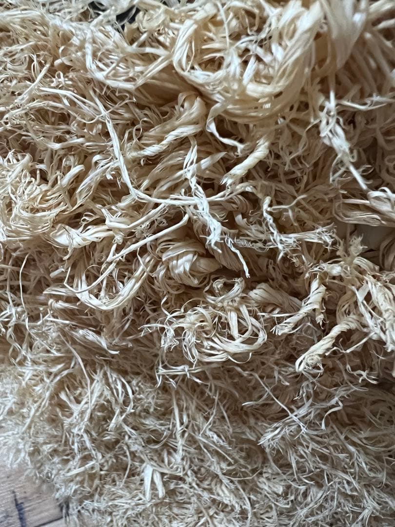 ウィムガゼット購入★CATARZI★かごバッグ