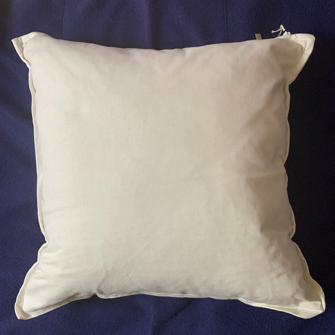 Sherbets きれいな血 クッション 缶ストラップ付 シャーベッツ 浅井健一