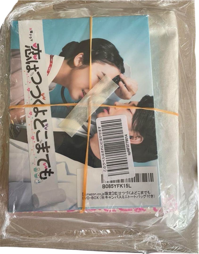 【新品未使用】恋はつづくよどこまでも 恋つづ DVD キャンバスミニトート付