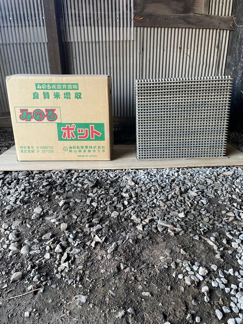 専用育苗箱 みのる ポット　　5箱まとめ売り