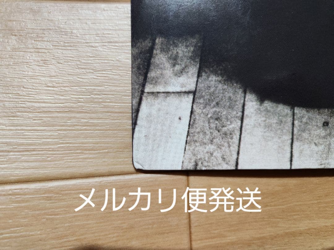 Vanessa Paradis ヴァネッサパラディ11曲入輸入盤アルバム