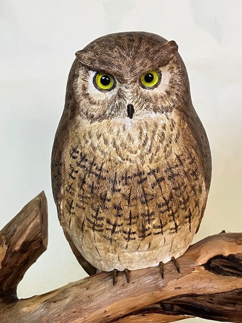 バードカービング　コノハズク