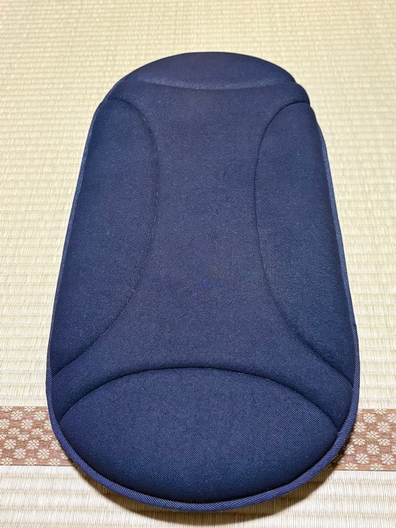 週末限定セール ラージサイズ AIRBUGGY DOME3別売オプション3点付き