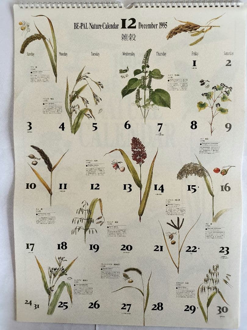 BE-PAL ビーパル カレンダー 新品未使用 1995年　ヴィンテージ