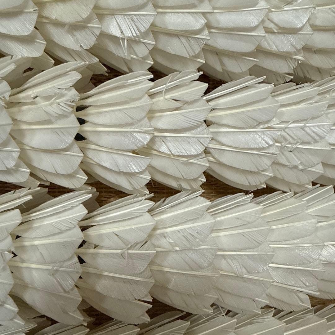 エアロセンサ700 中古シャトル 10本