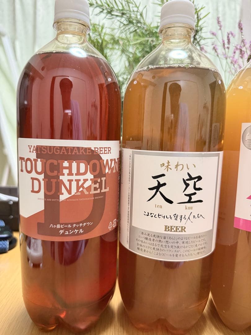 クラフトビール 4本セット IPA ペールエール dreambeer