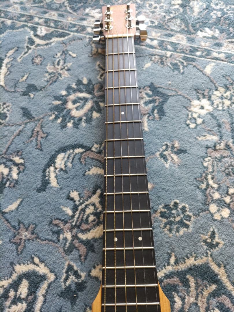 【美品】F.martin&Co 　マーティン　バックパッカー　ケース付き