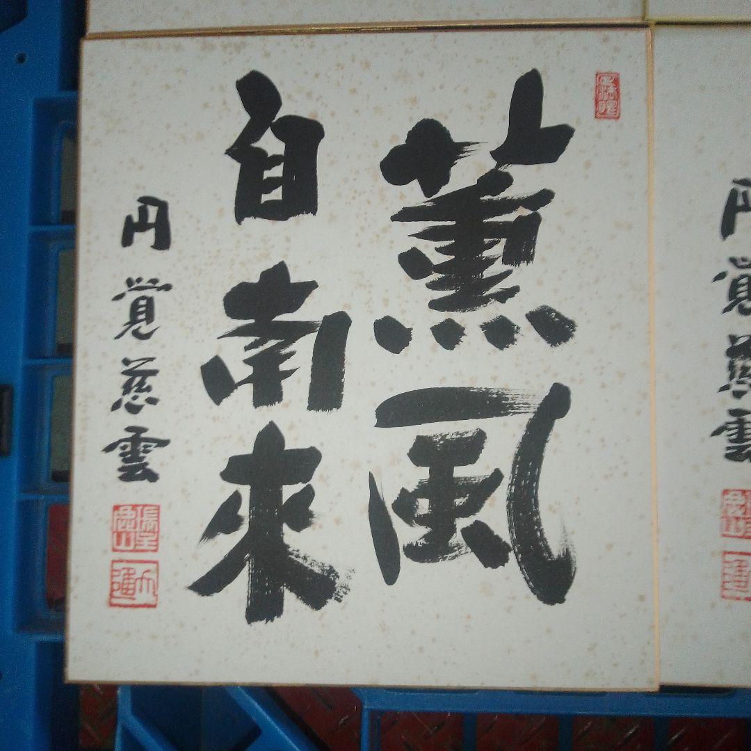 日本の書道 色紙 12枚セット 円覚慈雲