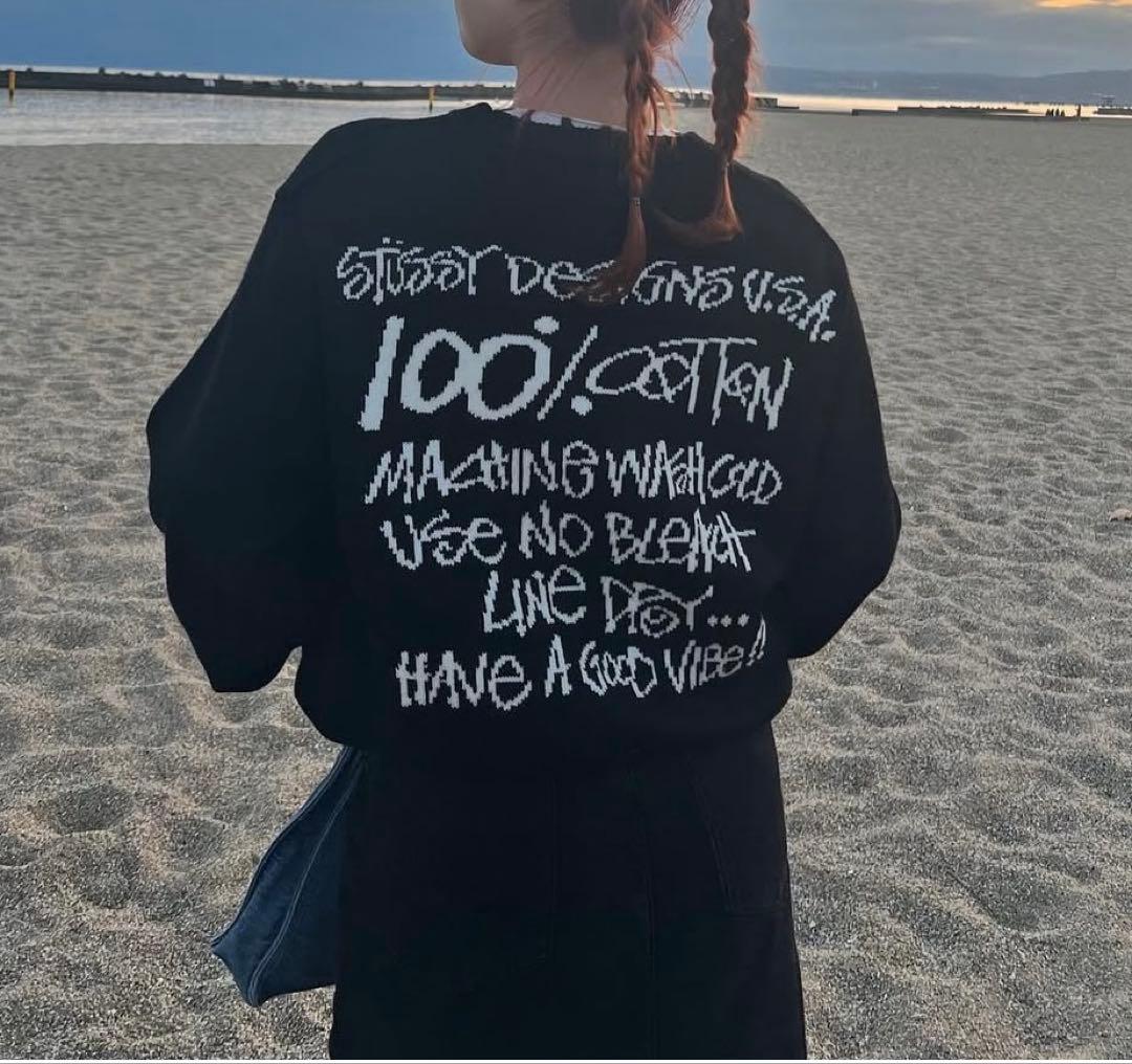 Stussy Care Label Sweater セーター Ｌサイズ