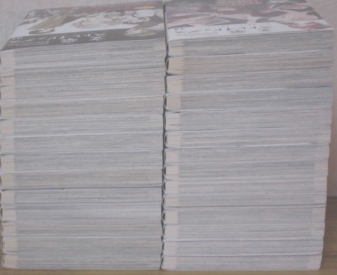 文豪ストレイドッグス　全巻　27卷