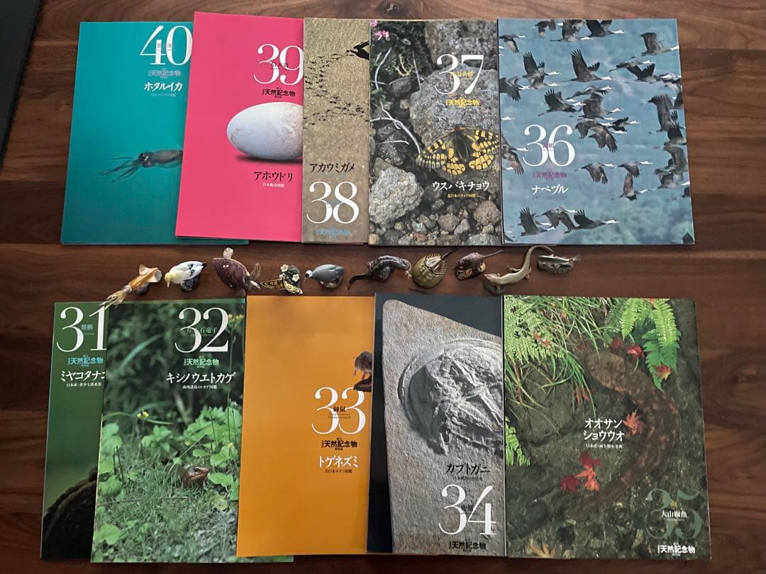 週間　日本の天然記念物　海洋堂　フィギュア付き全50巻　専用バインダー付き