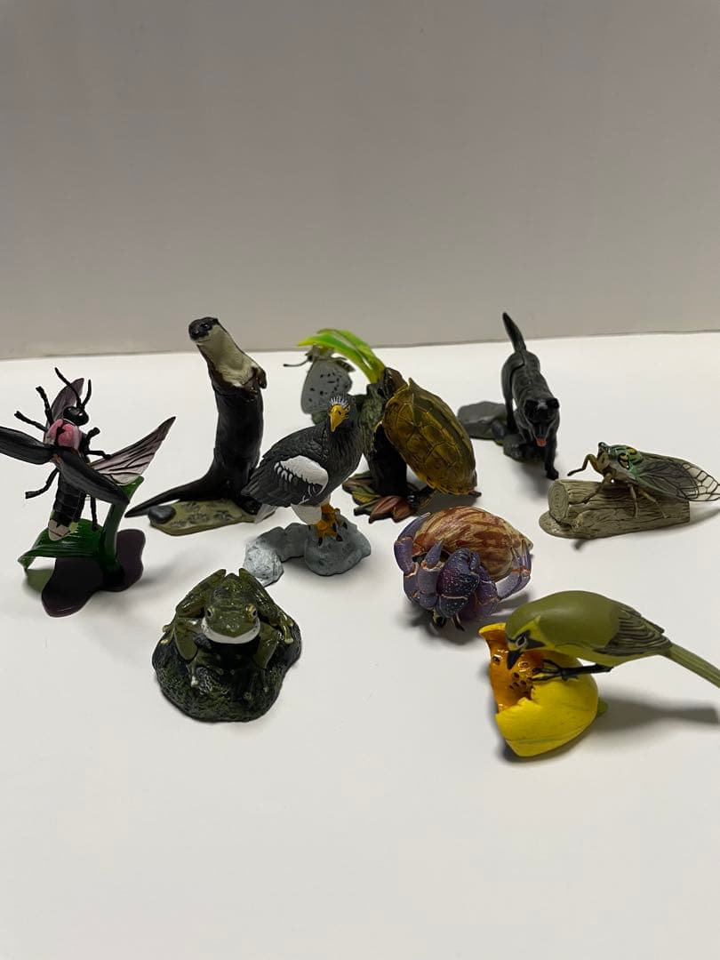 週間　日本の天然記念物　海洋堂　フィギュア付き全50巻　専用バインダー付き