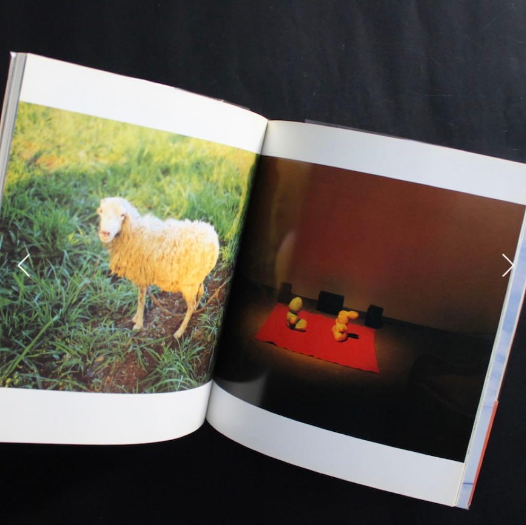 【希少 廃盤】Babyland　ホンマタカシ 写真集 岡崎京子 市川実日子