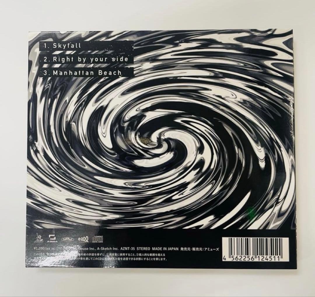 【正規盤・美品】Skyfall ONE OK ROCK ワンオク