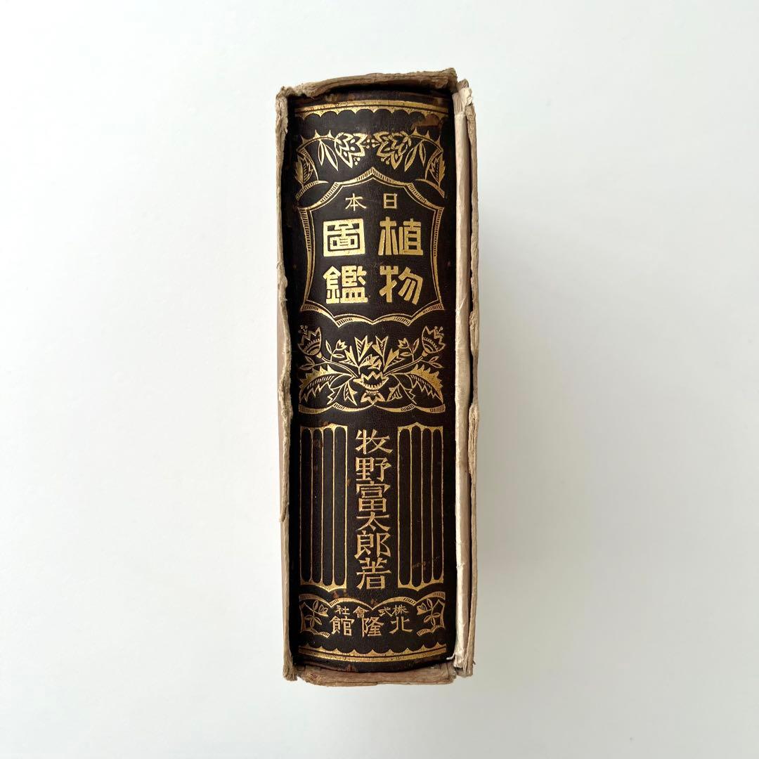 日本植物図鑑　牧野富太郎　北隆館　1925年初版