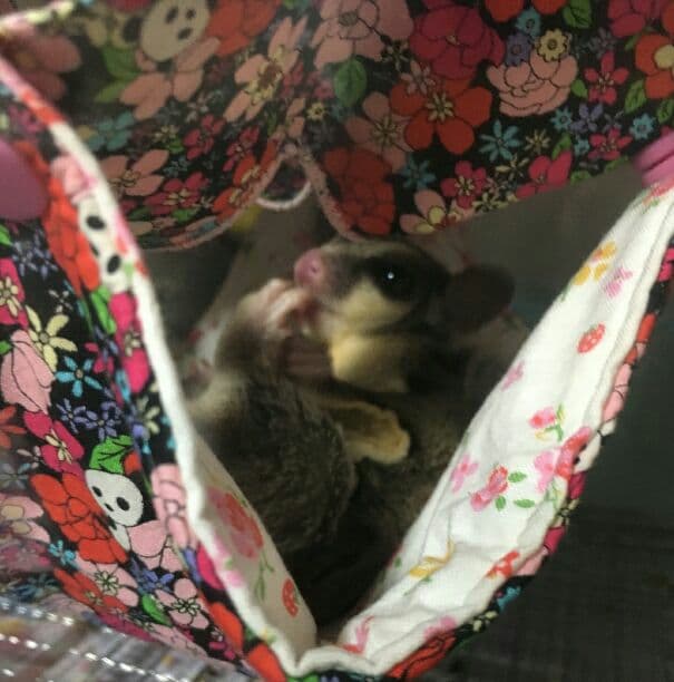 モモンガハウス(うさぎ花柄)   春(夏)秋仕様  1900円