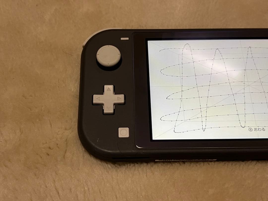 【動作確認済】Nintendo Switch Lite 本体 ブラック