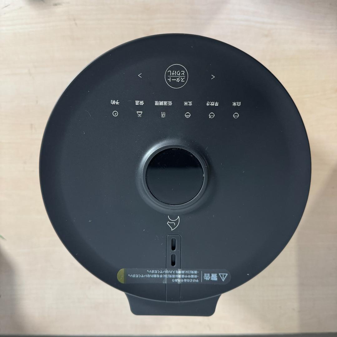 エペイオス(Epeios) 炊飯器 3合 4合 低温調理 350W 2L