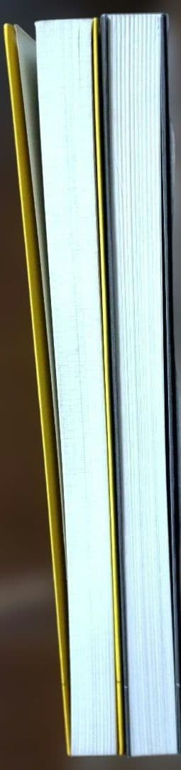 有坂誠人の現代文速解 例の方法 2冊セット