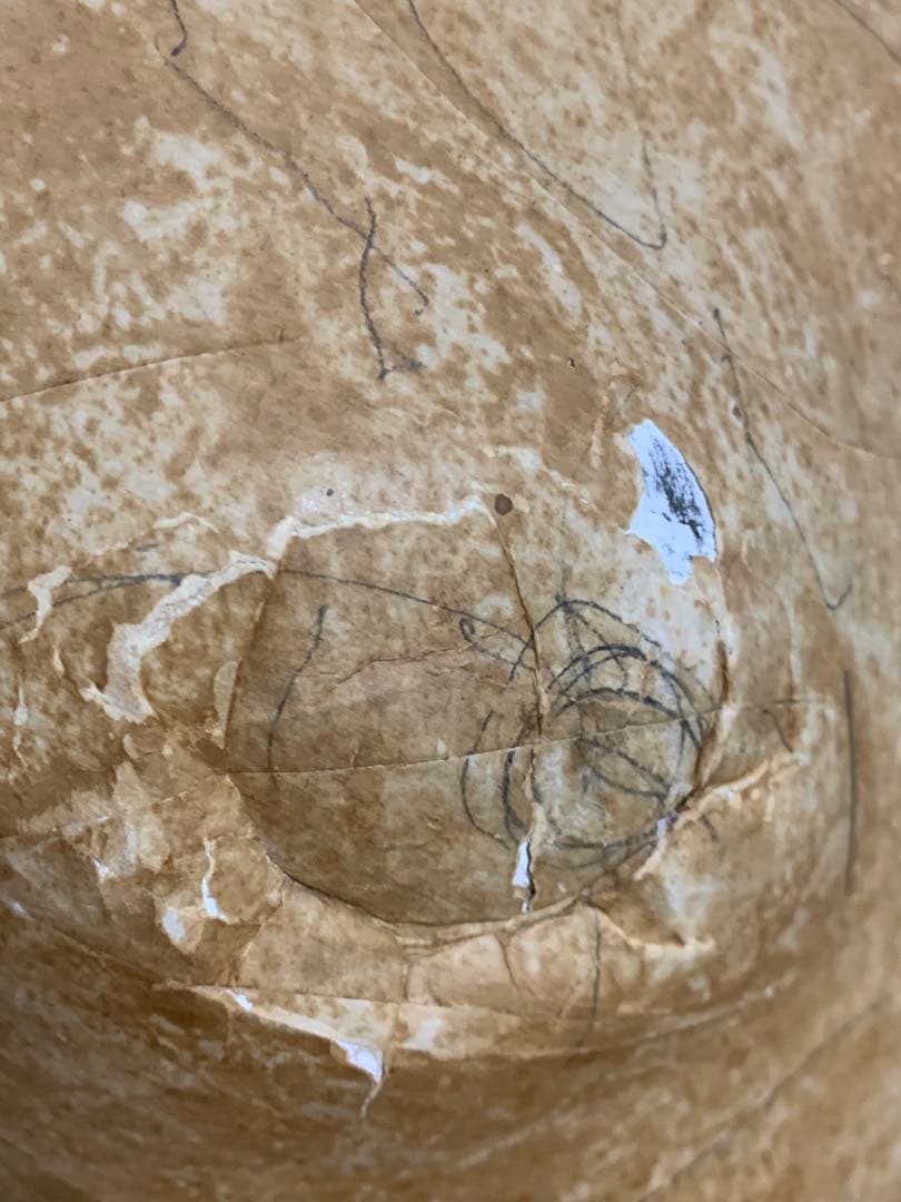 トルソー　アンティーク　ヴィンテージ　マネキン