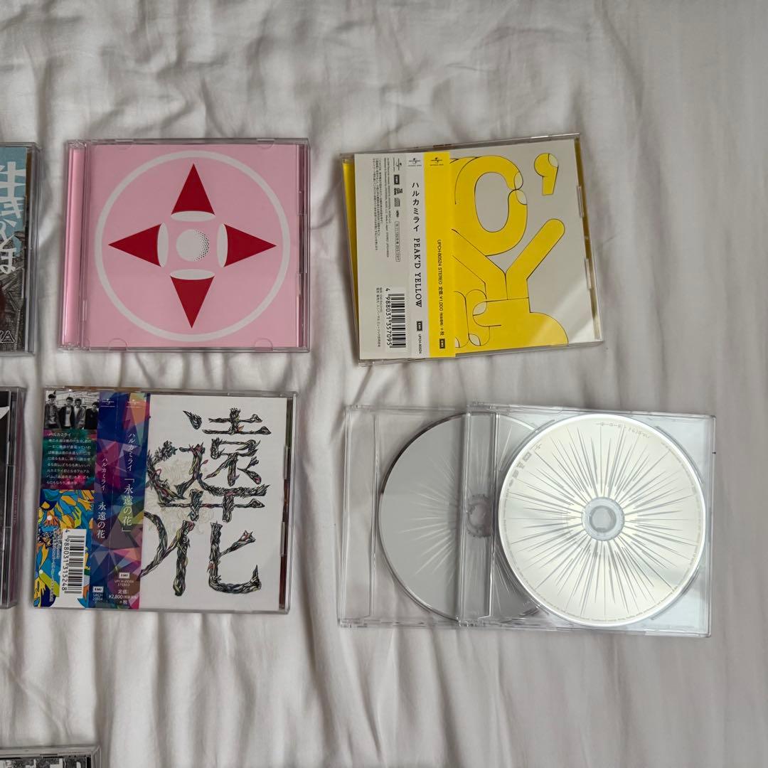 ハルカミライ CD/DVDセット まとめ売り