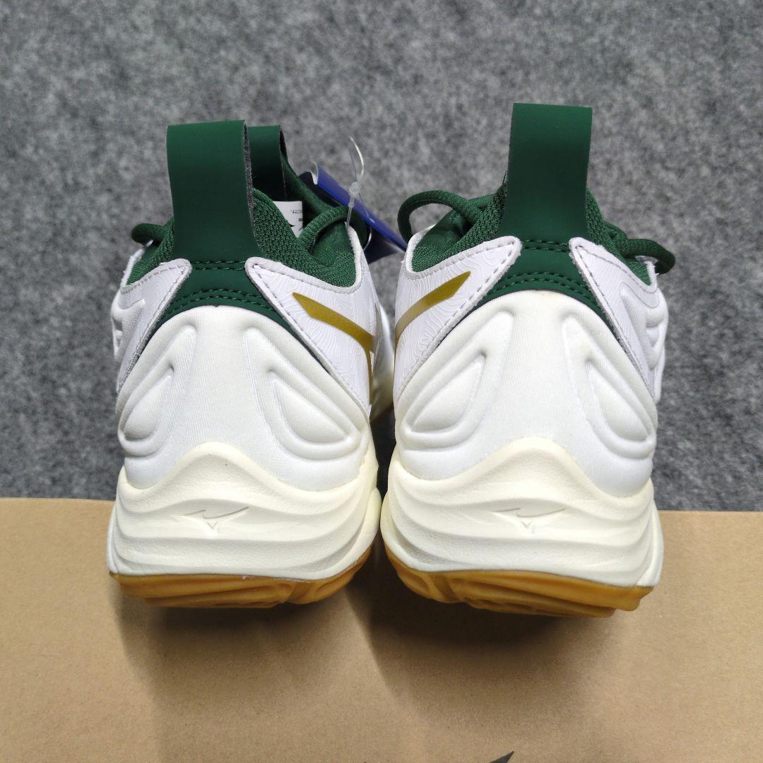 限定カラー　ウェーブモーメンタム3 25.0cm