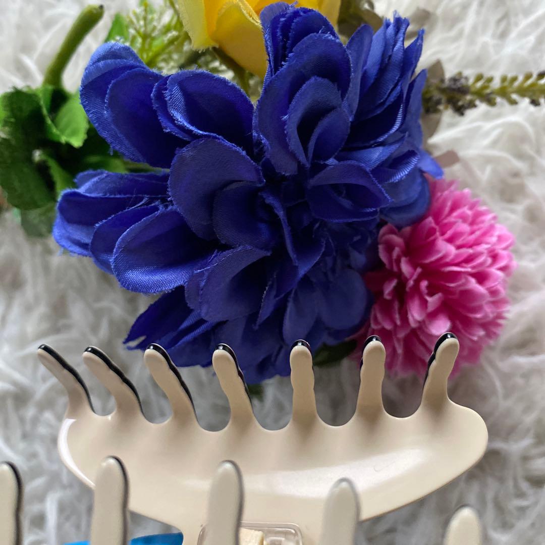 【Mクリップ◇アレクサンドルドゥパリ　リズレ