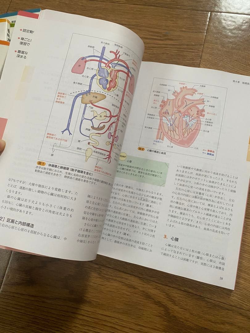 動物看護の教科書 全6巻セット