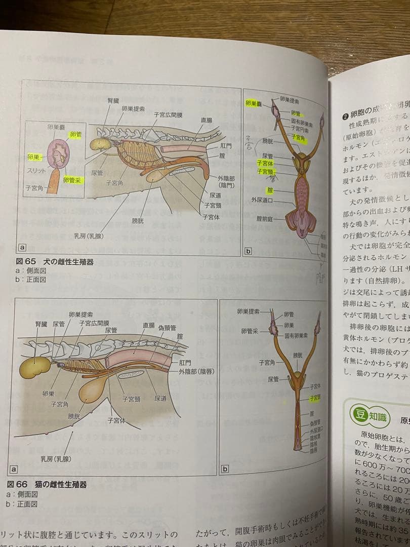 動物看護の教科書 全6巻セット