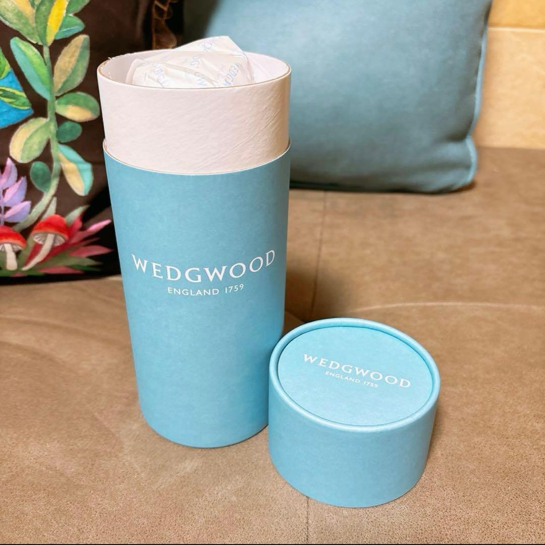 【新品未使用】 ワイルドストロベリー　水筒　ボトル