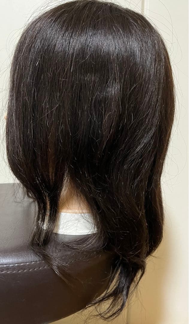 カットウィッグ　人毛100% プログレーソ 日本カットアカデミー 2体セット