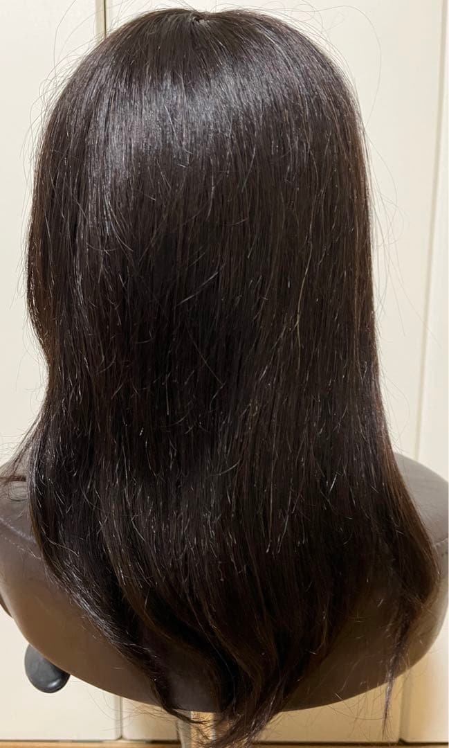 カットウィッグ　人毛100% プログレーソ 日本カットアカデミー 2体セット