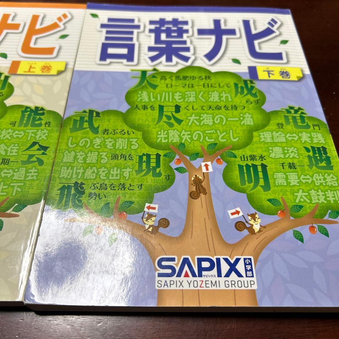 22-23d SAPIX ほぼ未使用　サピックス　言葉ナビ　上巻　下巻　重要教材