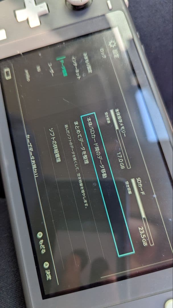 Nintendo Switch Lite グレー 本体 付属品なし