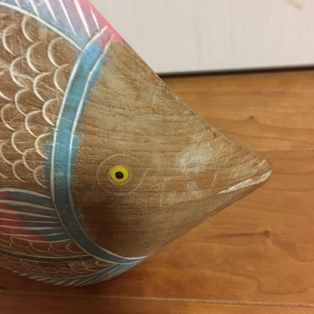 カラフルな熱帯魚　心がなごみます